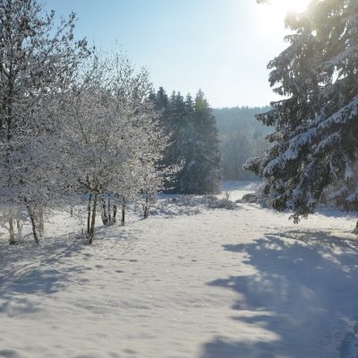 centre nature jalna sous la neige